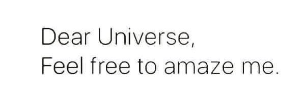 Karin - STILL the Champions banner