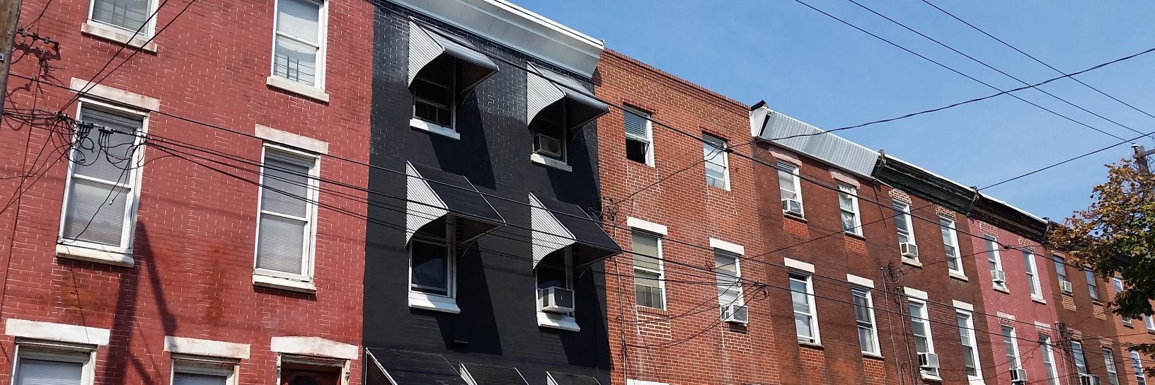 manic pixie dream dad banner