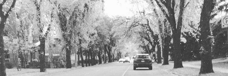 AustinLannon's profile banner image
