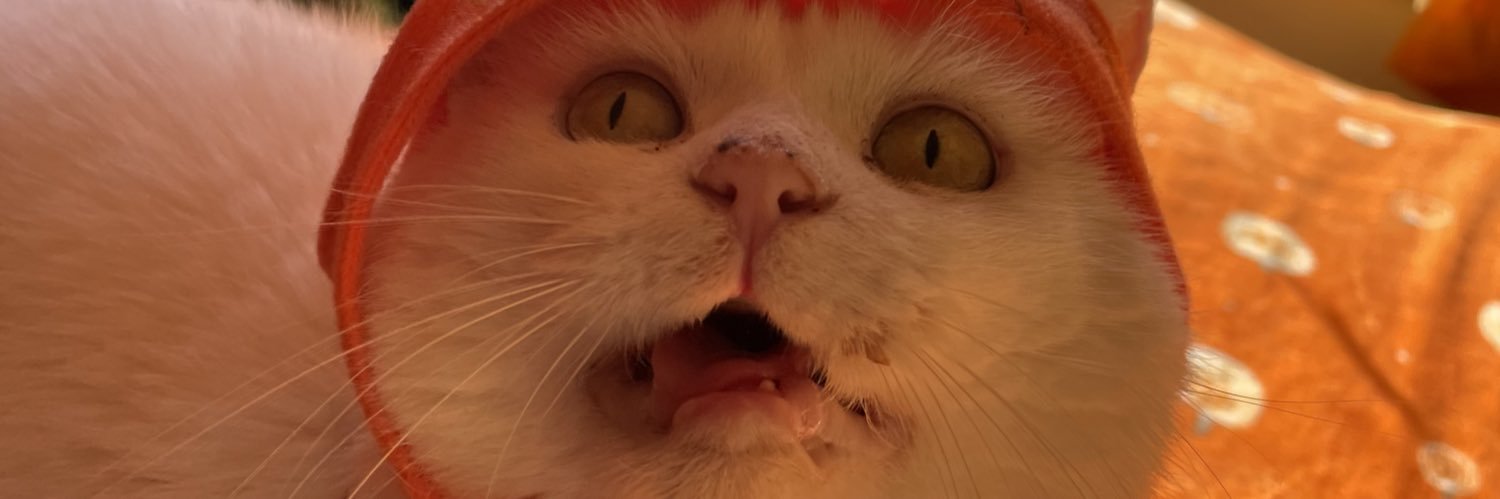 chloedawson98's profile banner image