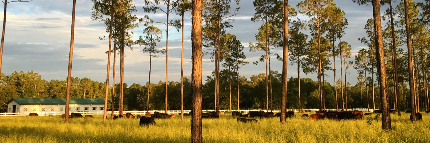 Pastured_Provis's profile banner image