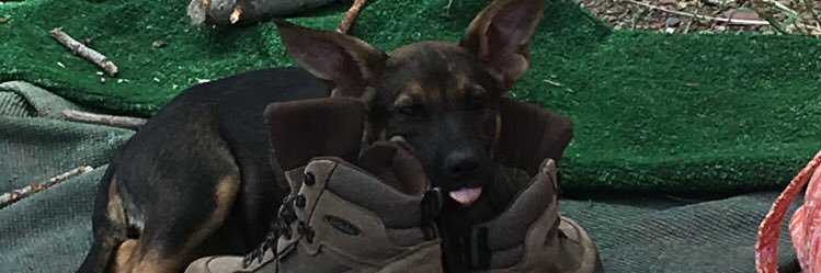 kappymeal8's profile banner image