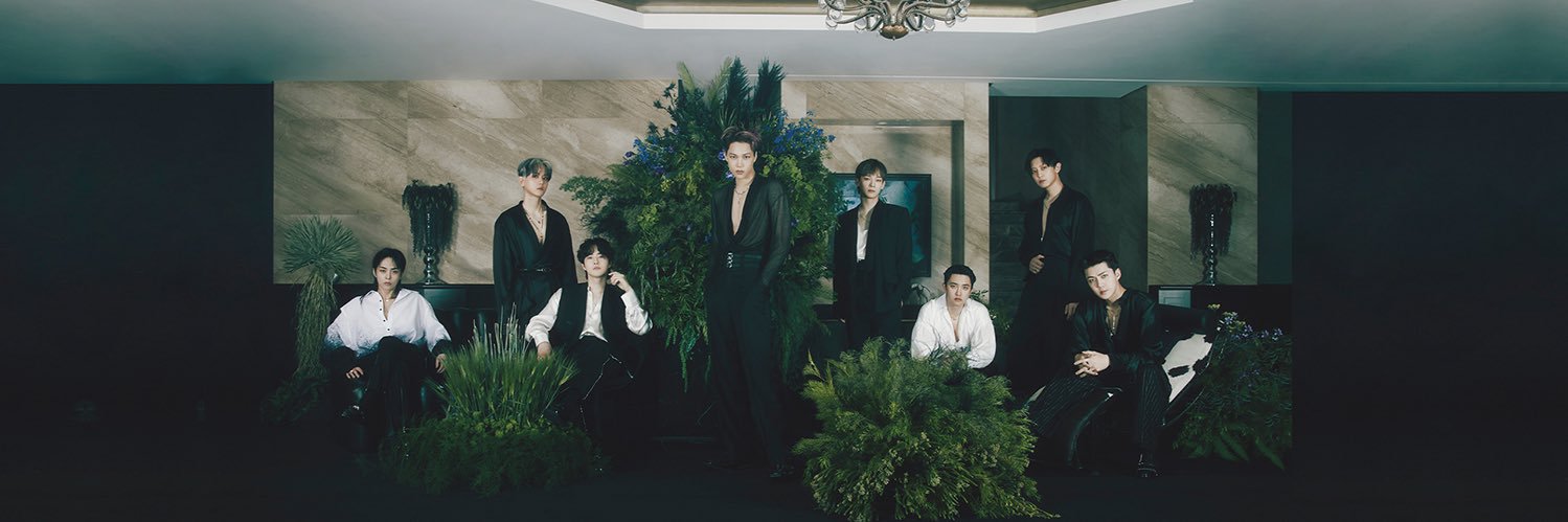 whyDOsocute's profile banner image