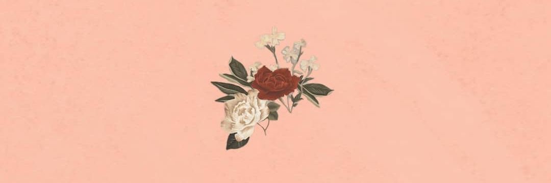 moii_ramoos's profile banner image