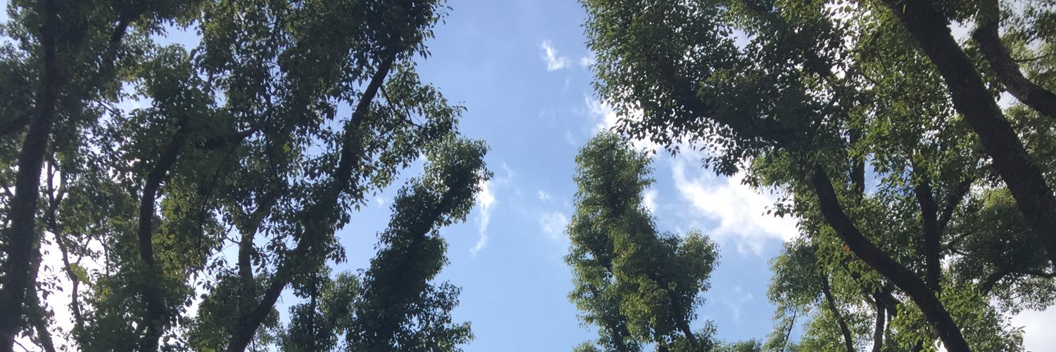 HarabutoP's profile banner image