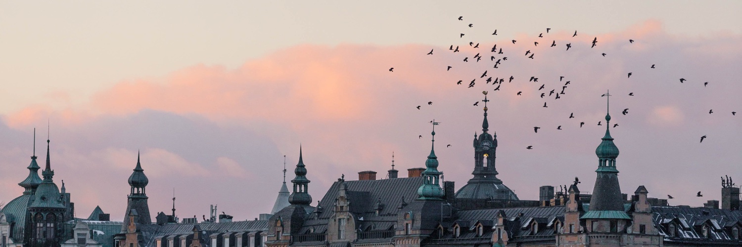 TheDanielSack's profile banner image
