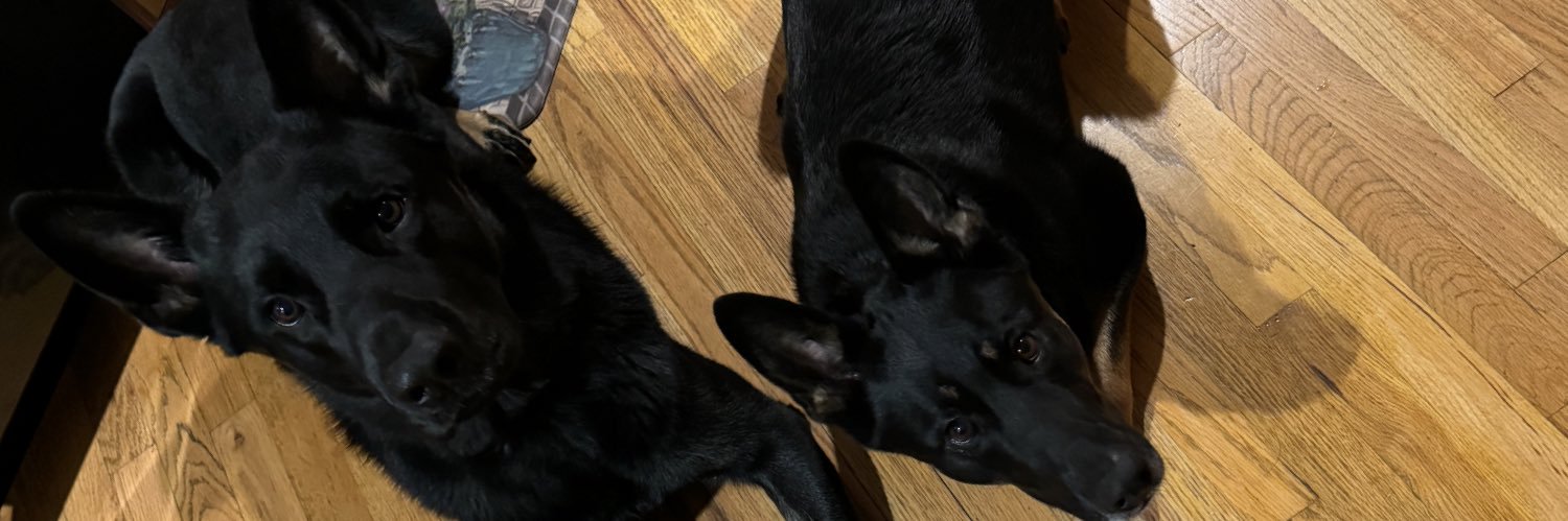 Maverick Hansen banner