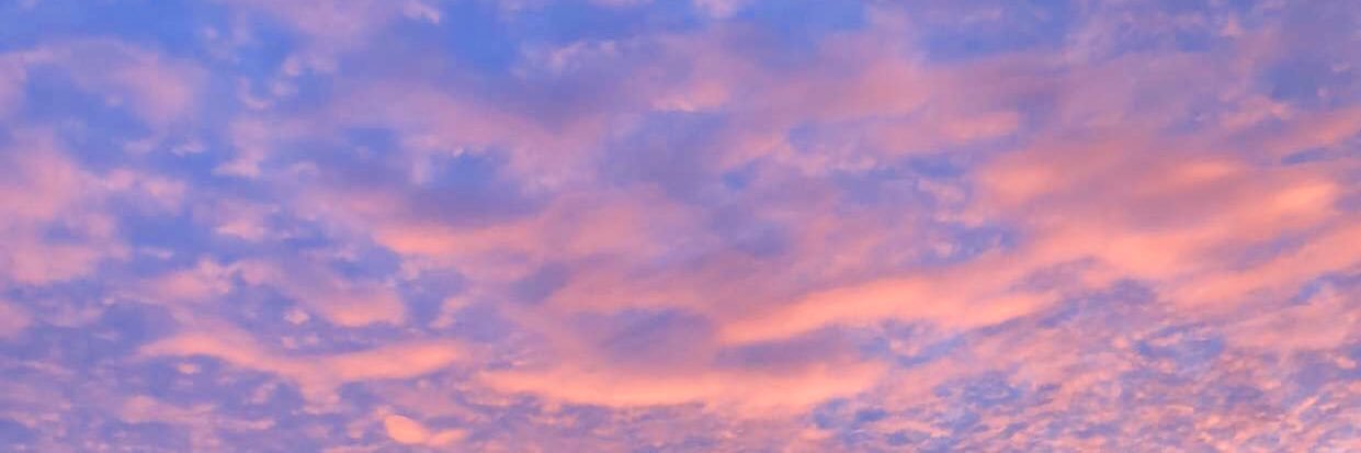hannah_scanlan's profile banner image