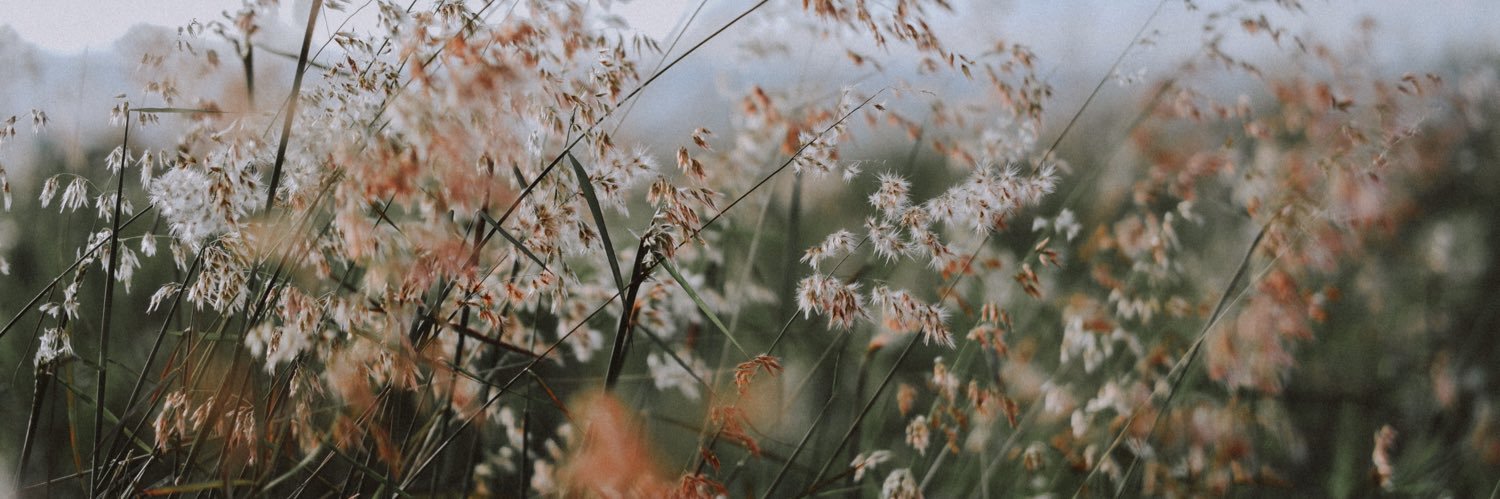 doctographer's profile banner image