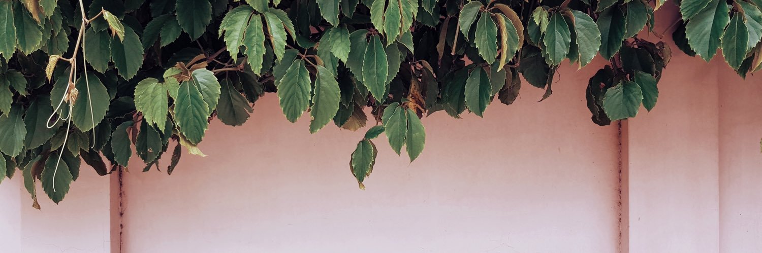 loveugonma's profile banner image