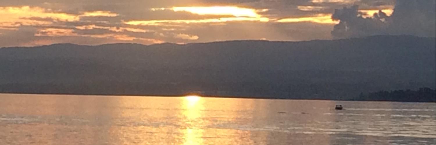 saadsurayea's profile banner image