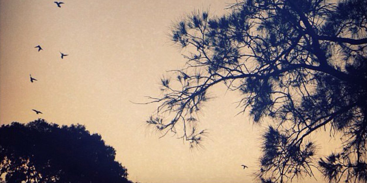 ZechSiler's profile banner image