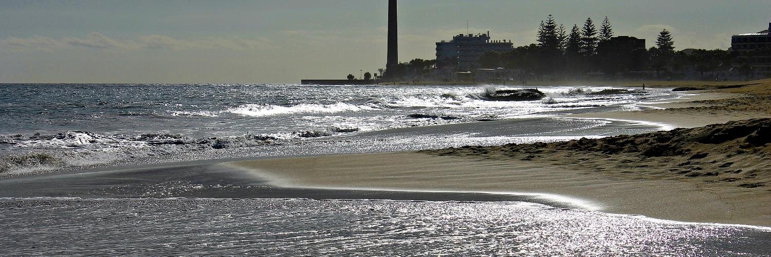 Francisco Luna banner