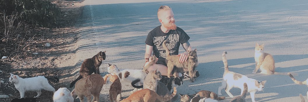 AttackHunterSE's profile banner image