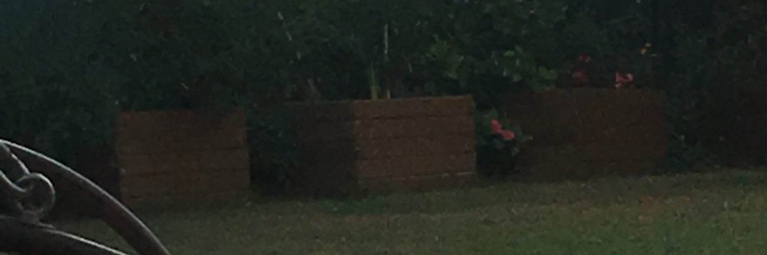 Tunc guvenoğlu🇹🇷 banner