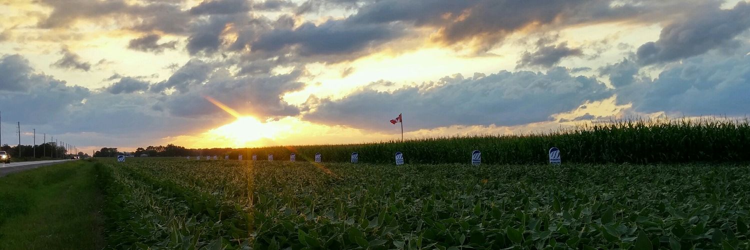 Robbpapineau's profile banner image