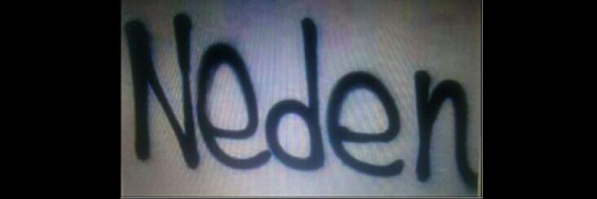 ne_d_en's profile banner image