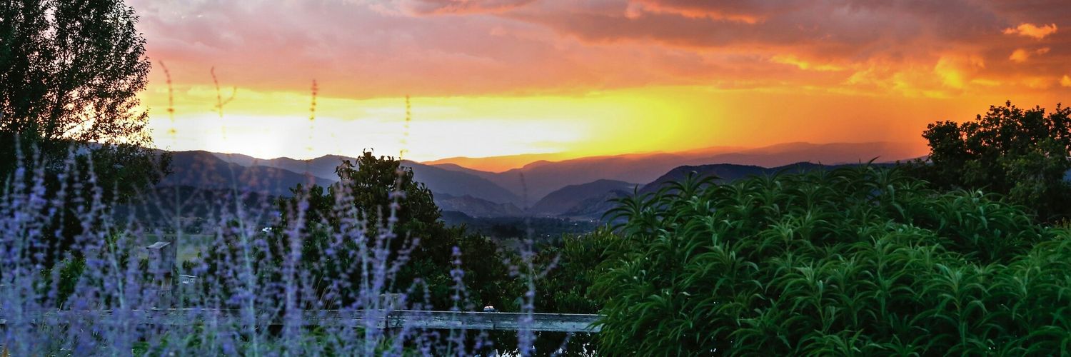 MikeTepper79's profile banner image