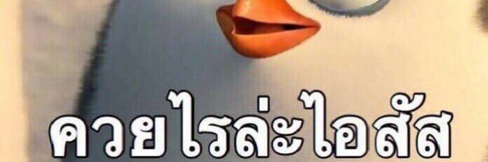 ppraekwan's profile banner image