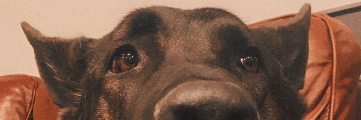 RachelButler25's profile banner image