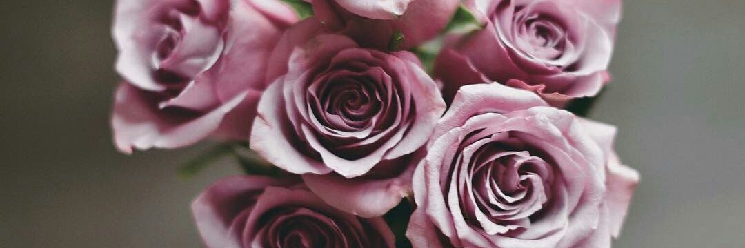 Rawan1995's profile banner image