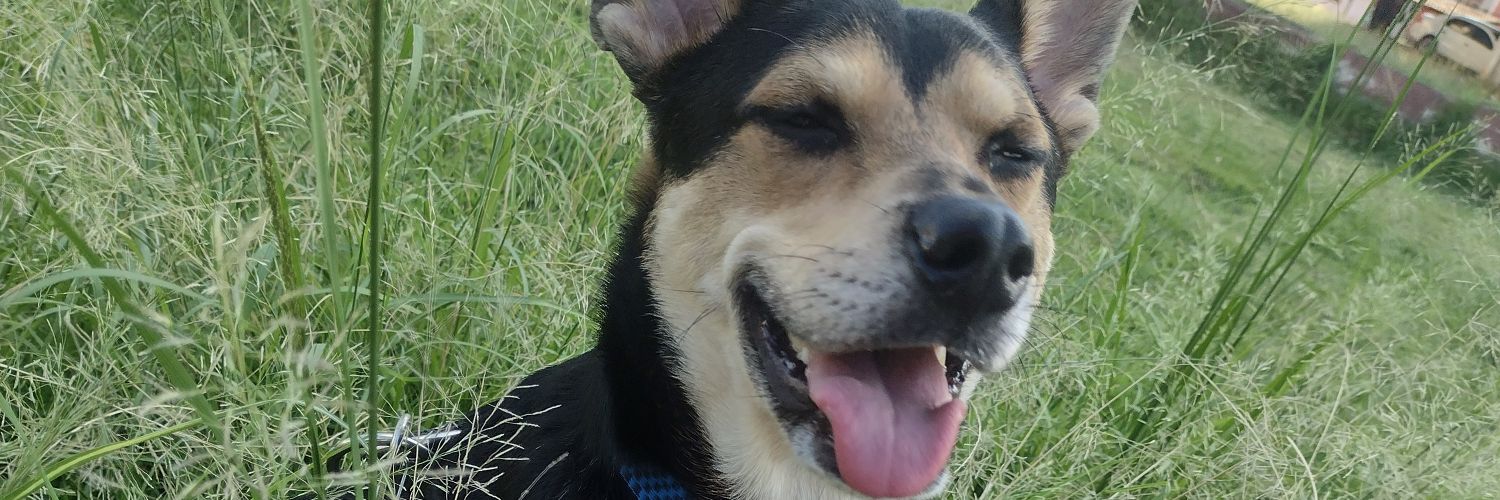 erickmedeirosp2's profile banner image