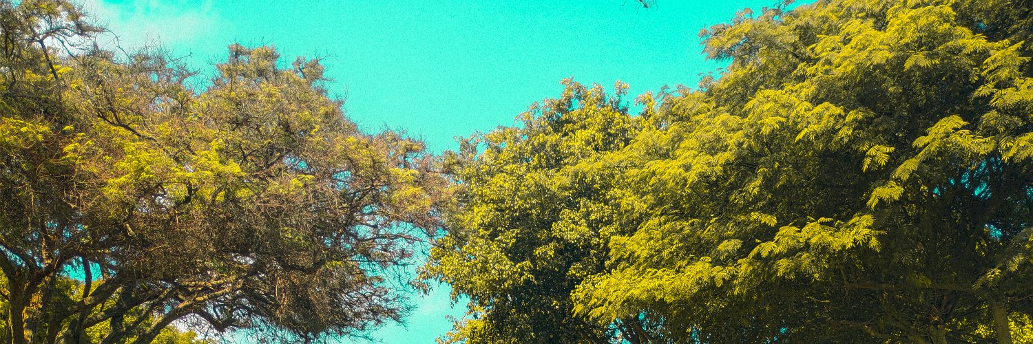 PhantommBullet's profile banner image