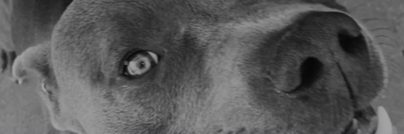 darcfount's profile banner image