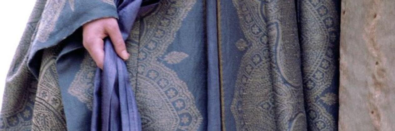 Sansa Stark banner