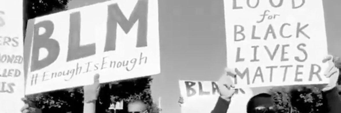 Taylor Lynn 🦔 banner