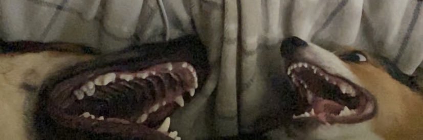 itsnothing38_'s profile banner image