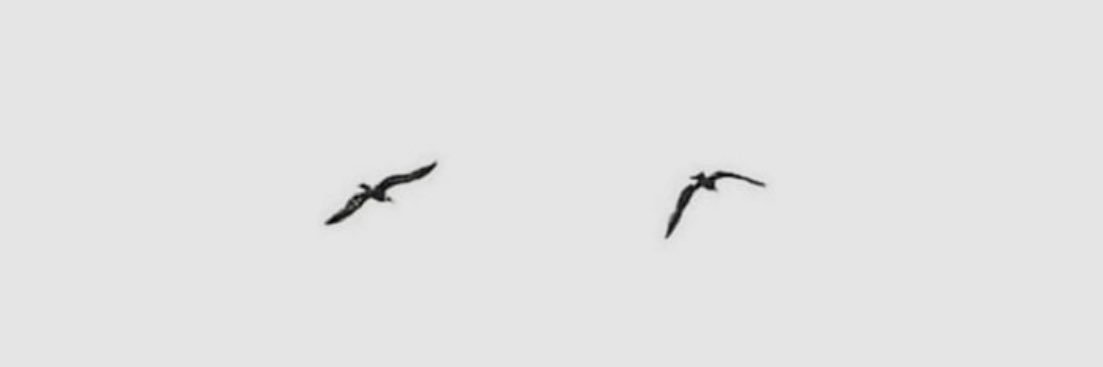 ItsTuqaa's profile banner image