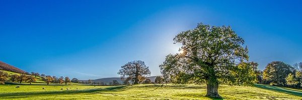 collinsrod Profile Banner