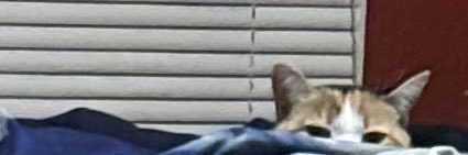 sydxcash's profile banner image