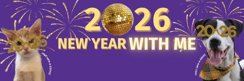 San Antonio Pets Alive! banner