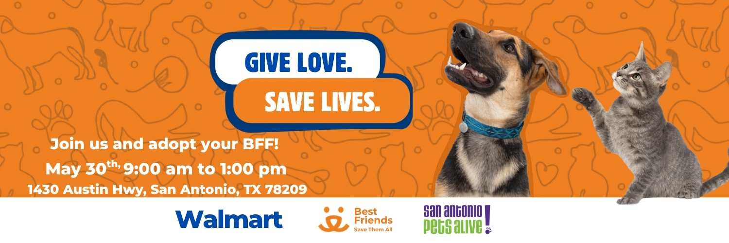 sapetsalive's profile banner image