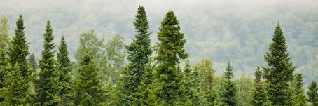 Sarah Wasserman banner