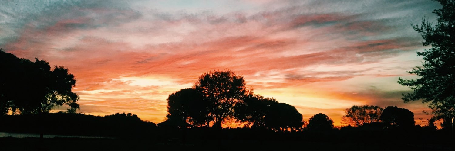 liillinz's profile banner image