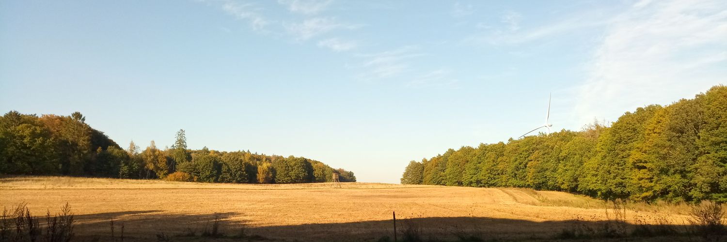 sgddan's profile banner image