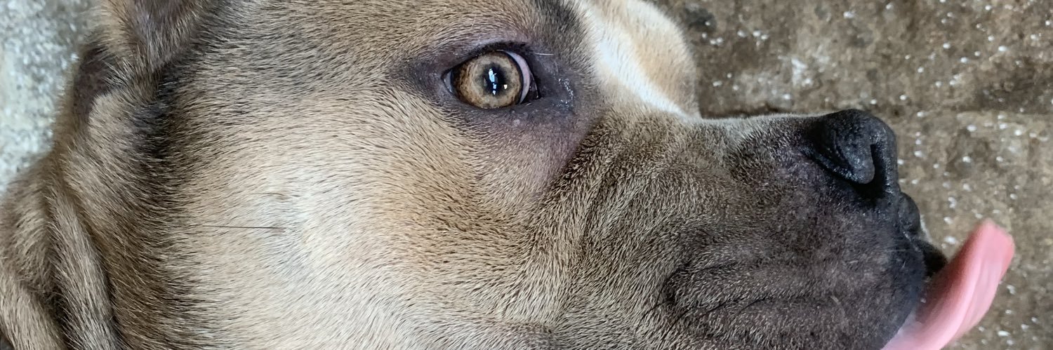 falaisla's profile banner image
