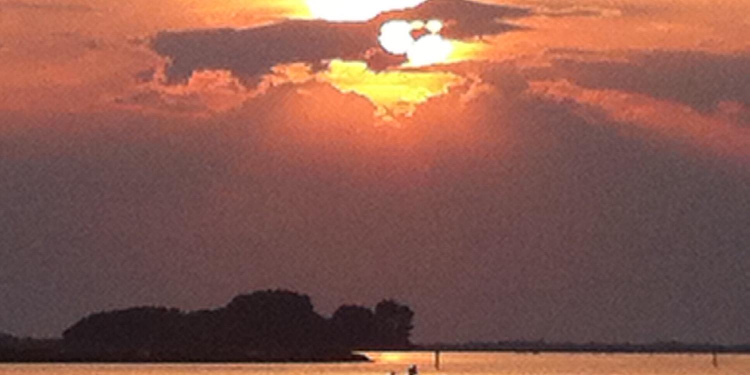 JoyceCorb's profile banner image