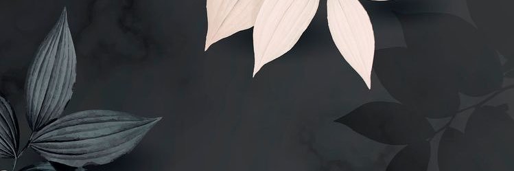 kbeausoleil23's profile banner image