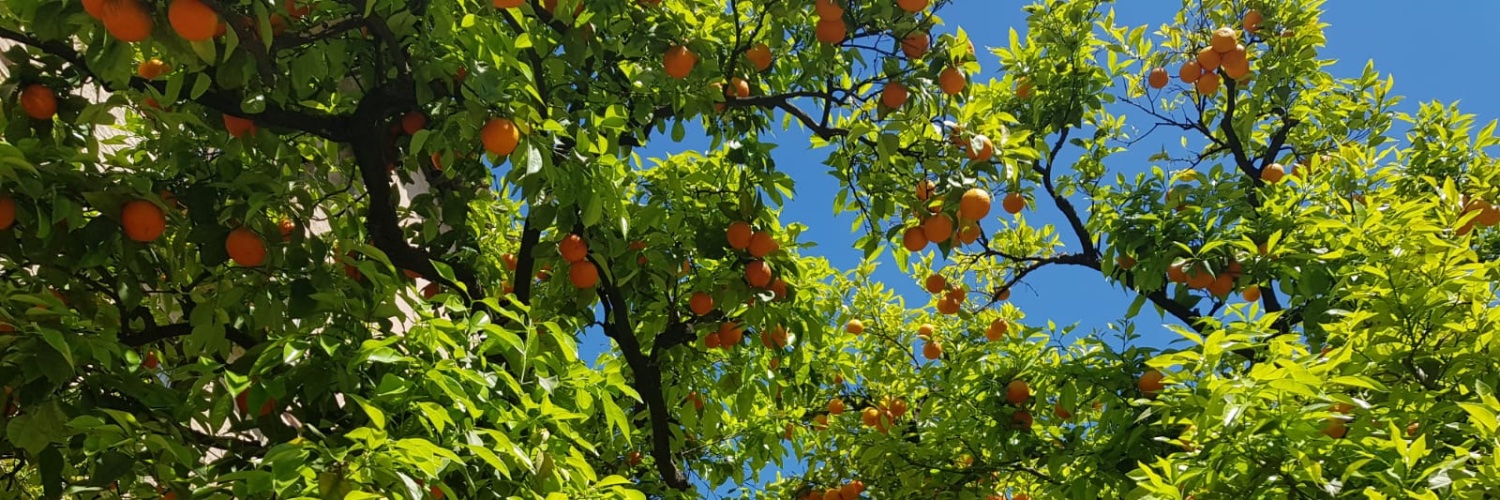 Camilla Cramsie banner