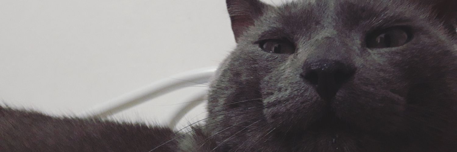RocioTulli's profile banner image