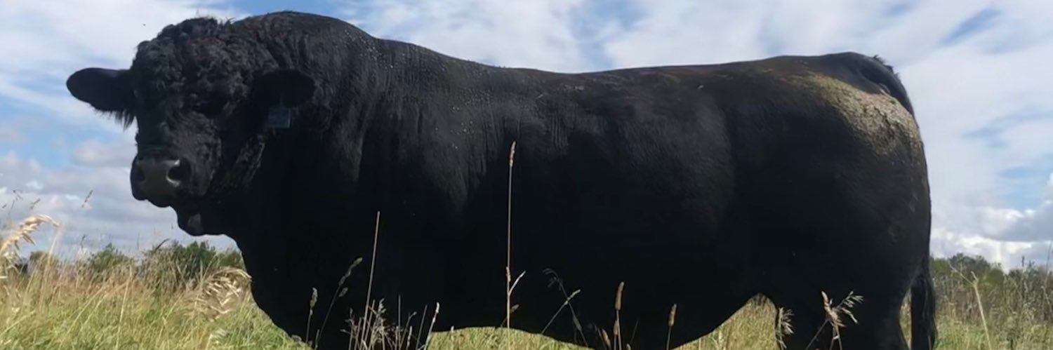 williamsj79's profile banner image