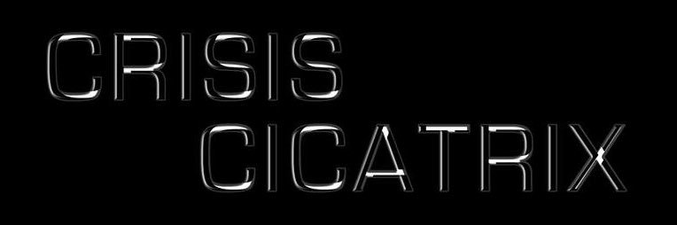 CrisisCicatrix's profile banner image