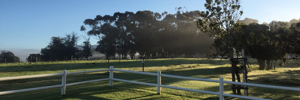 joyaking's profile banner image