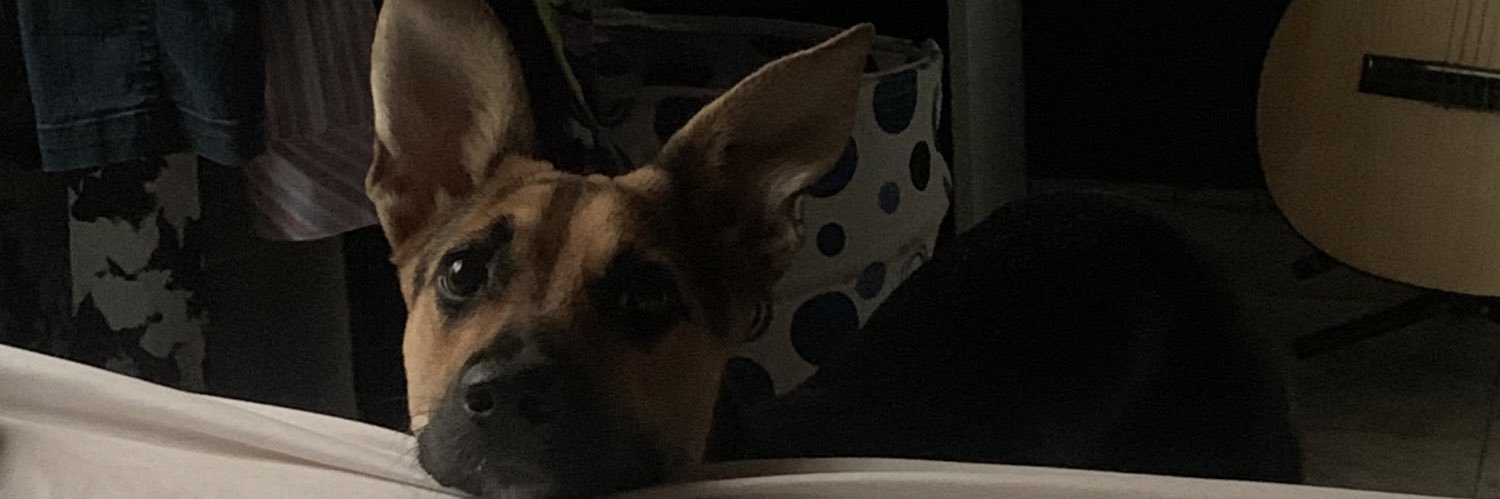 Vriff_'s profile banner image