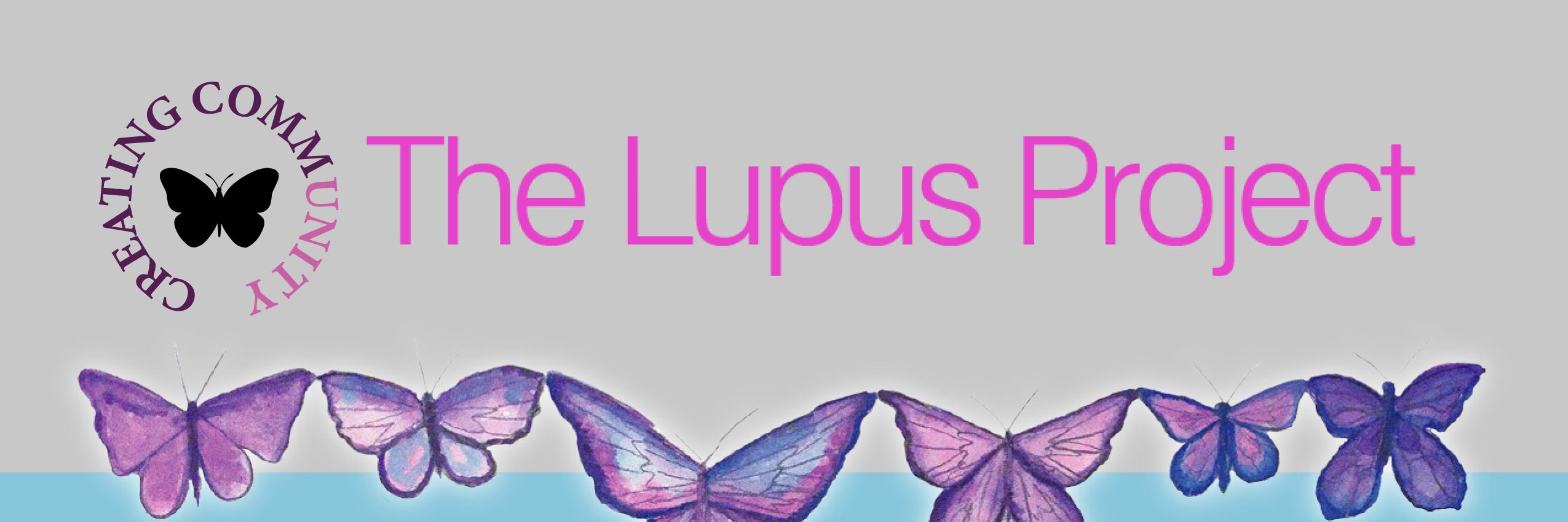 thesleproject's profile banner image