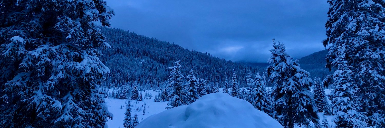 dirk vanstralen banner